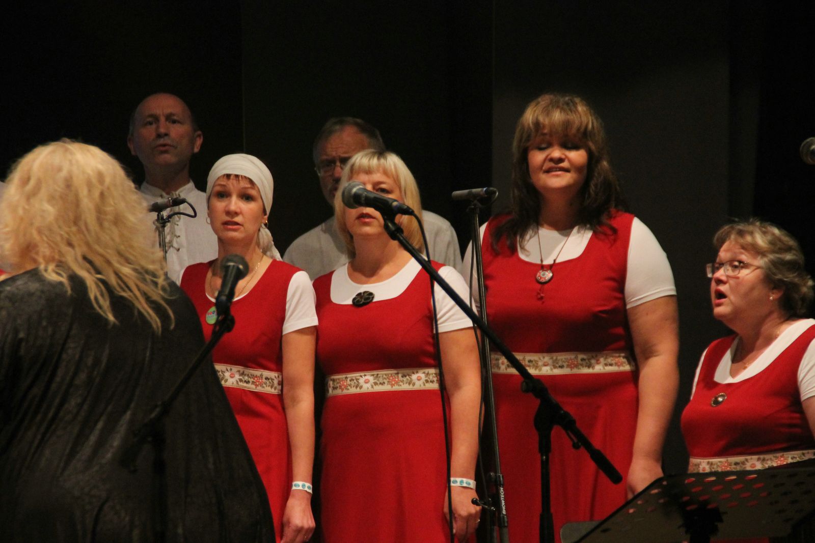 Lauluragin 2015 konkurss